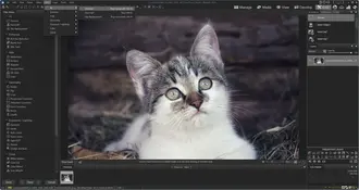 Бесплатно Torrent ACDSee Photo Studio Ultimate 2026, версия 19.0.0.429