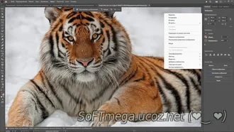 Скачать torrent Adobe Illustrator обработка изображений 2025 29.8.2.3