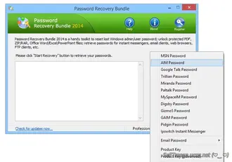 Скачать Torrent Password Recovery Bundle 5.6 Enterprise / Активация /