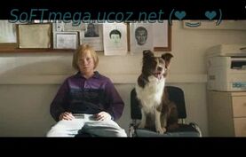 Бесплатно торрент Космическая собака Лида