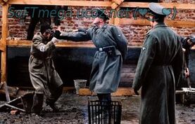 Бесплатно Торрент Пианист (2002)