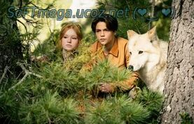 Бесплатно Торрент Дети леса 2 (2026)