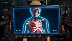 Зона Карантина: Последняя Проверка скачать торрент