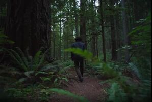 Сны поездов (2025) скачать торрент