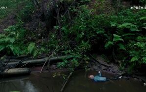 Тайга (сериал 2025) скачать торрент