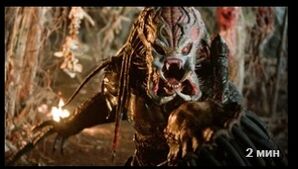 Хищники (2010) скачать торрент