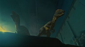 Возвращение в парк Юрского периода (2025) скачать торрент