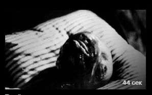 Голова-ластик (1977) скачать торрент