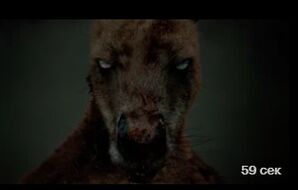 Хищник. Дожить до рассвета (2024) скачать торрент