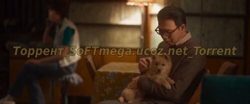 Мой Хатико (2023) скачать торрент