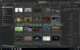 ACDSee Pro 10.4 Build 686 (RePack) скачать торрент